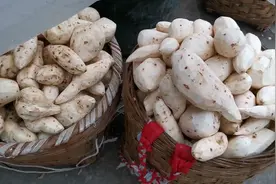 小伙削了大概700斤红薯，用了1小时打成红薯粉水，实在是太方便了