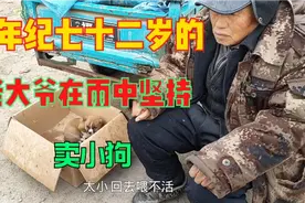 小鹿赶大集路过狗市，碰到一位老大爷卖小狗，最后劝大爷回家去视频封面