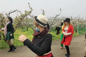 踏春梨园赏花海，情不自禁蹦起来#安庆头条#视频封面