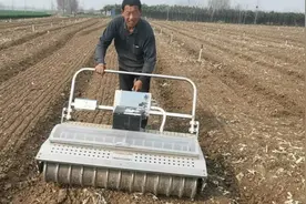 河南新野供港蔬菜基地，第一次见菜籽播种机种菜，带大家一起看看视频封面