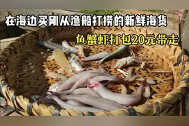 在海口这个海边买海鲜，便宜又新鲜，真切感受一回做海南人的快乐视频封面