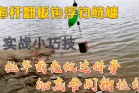 海杆翻板钩浮钓鲢鳙：一个实战小技巧，彻底告别钩挂线！视频封面