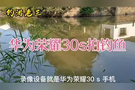 用华为荣耀30s手机拍摄，效果超乎你的想象，小鱼都拍的很清晰