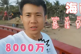 悬崖边上的海景别墅卖价8000万，强哥想租下来做民宿，靠谱么？视频封面