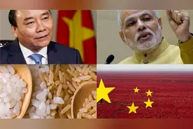 越南把自己的大米高价卖给中国，再从印度低价进口大米，太精明了视频封面