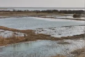 实拍黄河包头段，进入凌汛期，即将开河，景色壮观！视频封面