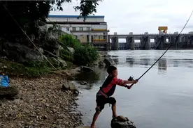 小孩子钓鱼视频封面