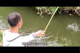 农村小哥自制竹竿野钓小溪，上鱼各种狂拉猛扯，看看怎么回事吧视频封面