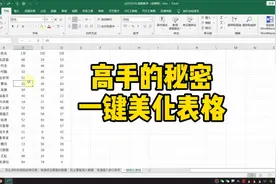 Excel高手的秘诀，一键美化表格～视频封面