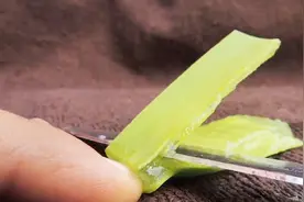 毛孔粗大or黑头堵塞？不用去美容院，在家自己做，省钱又实用！视频封面