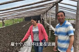 在东北林区种10万袋木耳能赚多少钱，去掉自己人工不剩啥了，不易视频封面