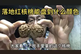 落地红和姜黄皮核桃，盘玩到最后，会是什么颜色呢？视频封面