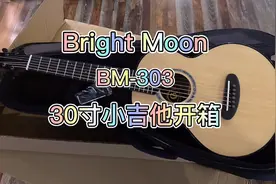 尤克里里不叫“小吉他”，这才叫小吉他。