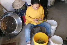 跟外婆一起做腌四季豆，辣椒，工艺简单，原来酸菜还可以这样做。视频封面