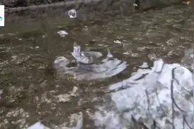 泉州市台商投资区张坂镇霞美村黄*明演唱的《心头肉》闽南歌曲视频封面