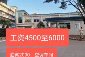 东莞塘厦林村某电子厂，环境好包吃住，找工作朋友了解内容。视频封面