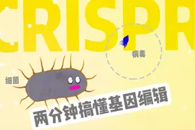 2分钟看懂CRISPR，基因编辑从此开始视频封面