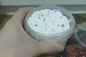 史莱姆黏手和发硬怎么办？小绵羊教你一招解决！（视频最后有惊喜