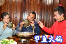 220买两只甲鱼，食叔做甲鱼火锅，老婆抱着裙边啃，越吃越香