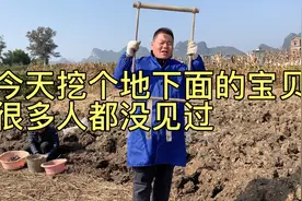 这个地地底下面的东西，很多都没见过，今天挖出来看看视频封面