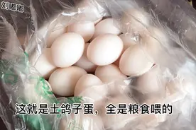 父母都会把最好的留给孩子，天下父母心都一样，苦大人不能苦孩子视频封面