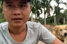 海南文昌鸡养到6个多月，长势喜人 肤白貌美，出栏就卖了一大半…视频封面