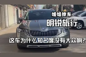 同样是大众旗下的？为什么斯柯达销量这么不好？视频封面