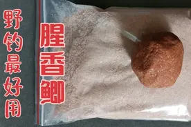 野钓鲫鱼最好用饵料腥香鲫，不管新手老手连杆爆护，钓友们快来试视频封面