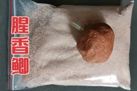 野钓鲫鱼最好用饵料腥香鲫，不管新手老手连杆爆护，钓友们快来试视频封面