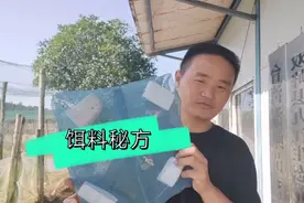 湖南小伙教大家下黄鳝笼，蚯蚓如何制作饵料，毫无保留