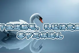 千里送鹅毛，礼轻情意重，春节怎样送礼，，，视频封面