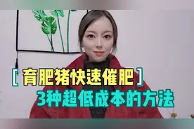 育肥猪快速增肥？3种超低成本的催肥方法，让养殖户提高收益！视频封面