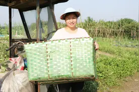 农村妹孤身打拼，干活时一首《打工真受气》唱出农民工辛酸