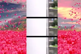 作为秘书 助理想得到的我要管助理想不到的我也要管视频封面