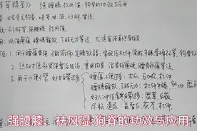 强腰膝、祛风湿:狗脊的功效与应用视频封面