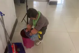 舅舅和臭宝同时撞上劳动，宅舅带娃的老虎梗视频封面