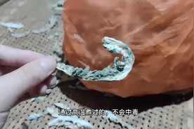 生了霉的笋子到底能不能吃？