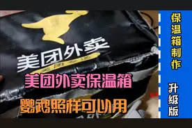冬天太冷鹦鹉小鸟怎么办？厨子教你制作鹦鹉保温箱，升级版更保暖视频封面