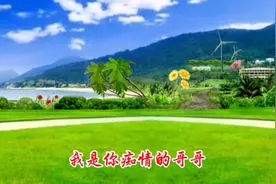 精选爱情歌曲《白云情歌》姑娘请不要离开我，我是你痴情的哥哥！视频封面