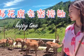 喂小鹿一定要去日本奈良吗？兰州周边一日游，就在甘肃渭源