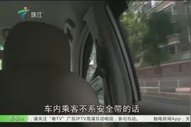 广州司机注意：七月起严查后座不系安全带