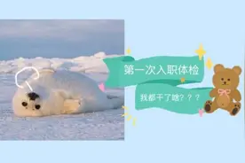 人生中第一次体检|工商银行入职|我都干了些啥？？？视频封面