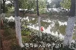 这样一条臭水沟，看着都脏，但有很多人垂钓，里面的鱼你敢吃吗视频封面