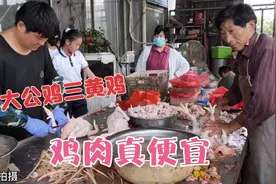 山东鸡肉降价了，大公鸡13元三黄鸡7元一斤，真便宜视频封面