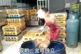 给你们展现一下什么叫做金鸡独立？这个词语是怎么来的？哈哈