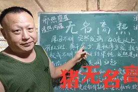夏秋季节猪无名高热，治疗的方法还是中药有效果，抗生素不理想视频封面