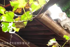 宁波几百年的尚书巷终于将改造整修，趁早记录下巷内清代老宅现状视频封面