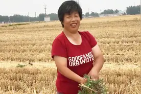 山东农村45岁大姐当年没要儿子，如今到底后不后悔？听大姐咋说！视频封面