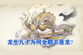 为什么龙生九子却都不是龙？看完龙的妻子就全明白了视频封面