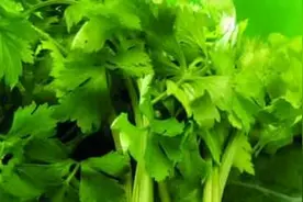 对比了芹菜叶和芹菜杆的营养价值，才知道芹菜的正确吃法是这样的